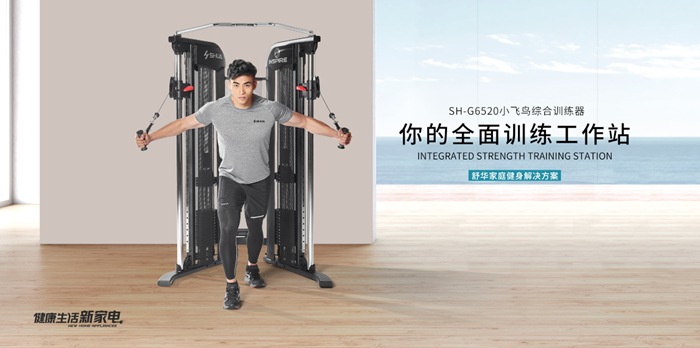 谈求吧健身器材-小飞鸟综合训练器SH-G6520