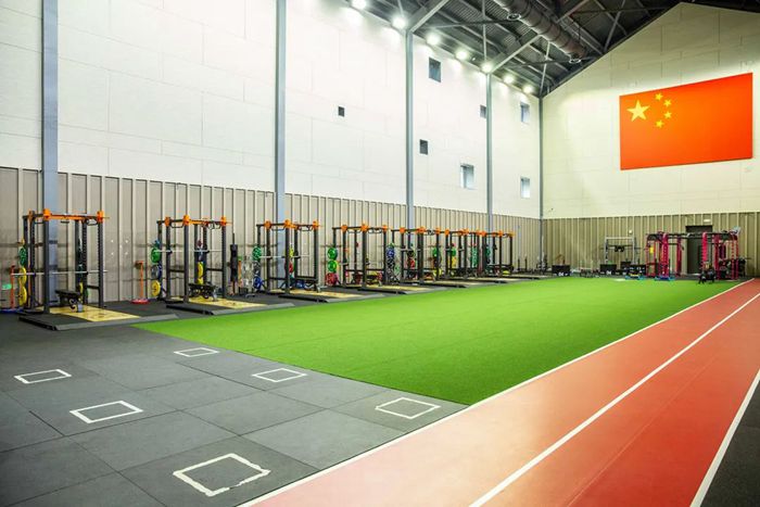 体能训练解决方案-广西谈求吧体育 体能训练解决方案-广西谈求吧体育